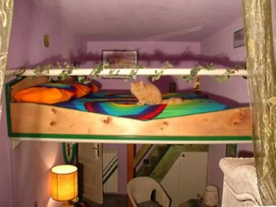 B&B Gautama-1