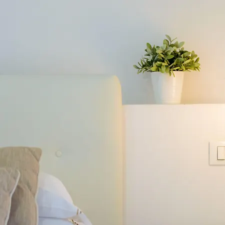 Homelink Firenze - Charlotte-2